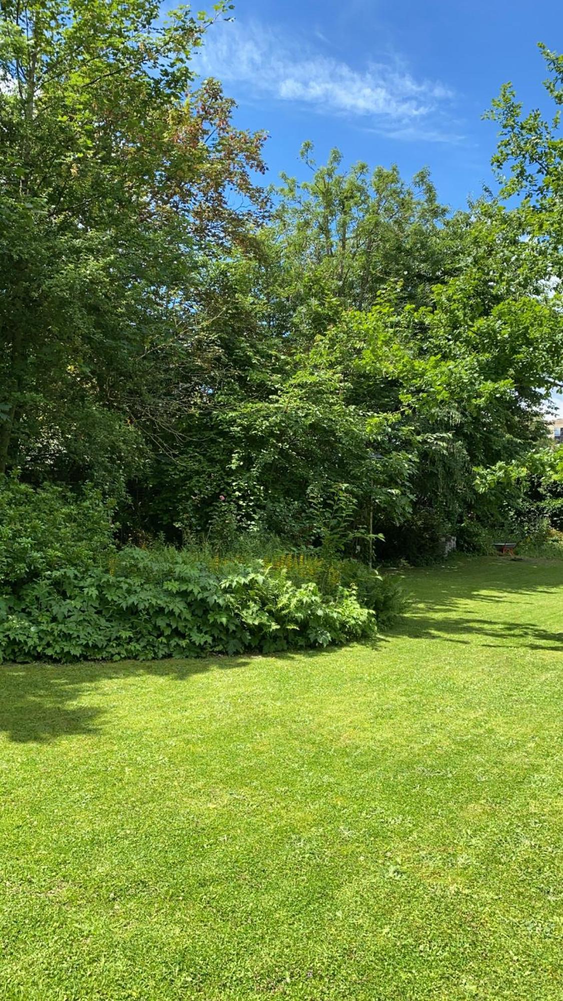 רובייש La Villa Barbieux מראה חיצוני תמונה